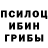 Галлюциногенные грибы прущие грибы Alisov100