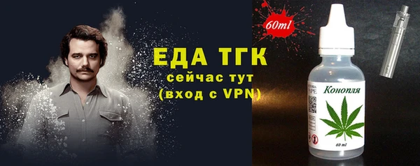 хмурый Бородино