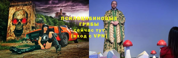 таблы Богданович